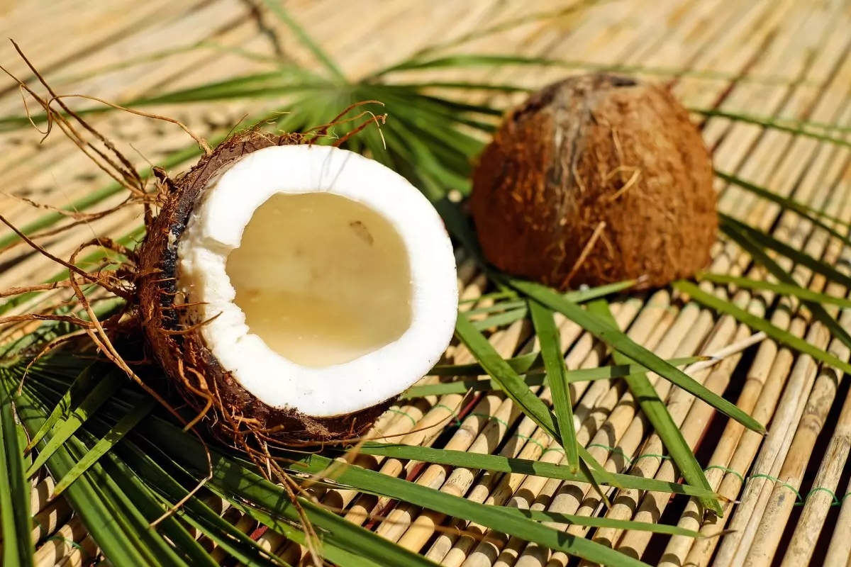 5 tumačenja što znači sanjati suhe kokosove orahe