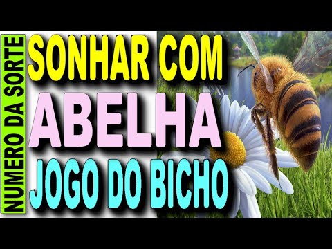 ပျား Jogo do Bicho ကိုအိပ်မက်မက်ခြင်း၏အဓိပ္ပါယ်ကား အဘယ်နည်း- ဂဏန်းဗေဒ၊ စကားပြန်နှင့် အခြားအရာများ