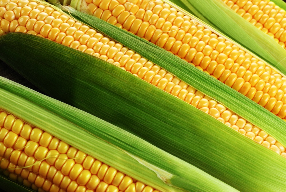 At drømme om grønne majs på strået: Hvad betyder det?